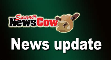 sumner news cow